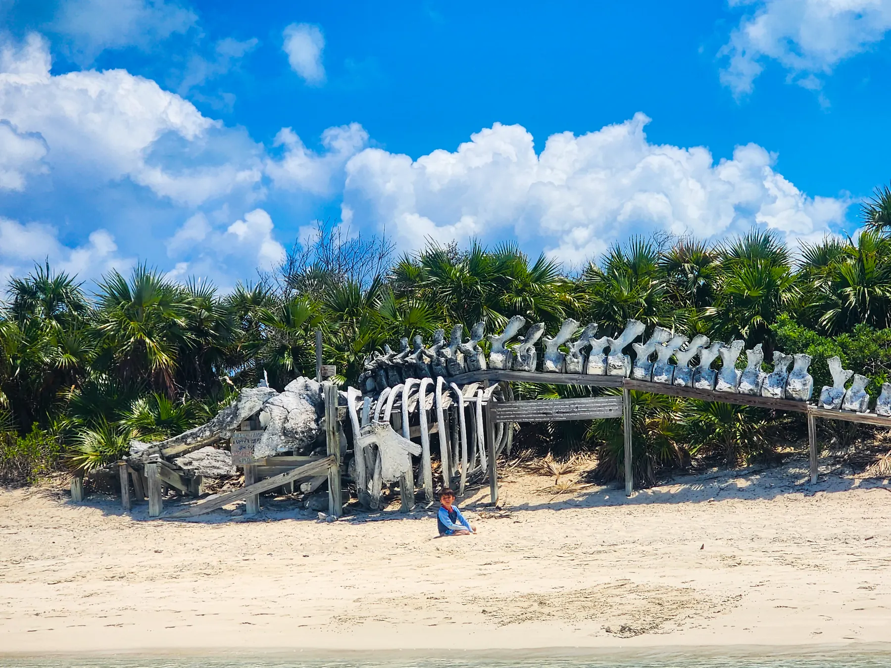 Exuma Cays Land and Sea Park — pristine protected waters and uninhabited cays